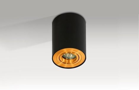 Bross 1 přisazené bodové svítidlo 1x GU10 50W bez zdroje 9,6cm kulaté IP20, černá/zlatá 2
