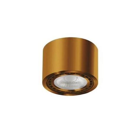 Eco Alix New 230V přisazené bodové svítidlo 1x GU10 35W bez zdroje 12cm kulaté IP20, antická 1