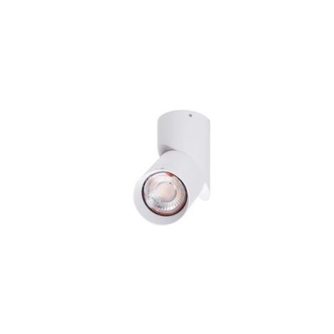 SANTOS přisazené bodové svítidlo 1x GU10 50W bez zdroje kulaté IP20, bílé