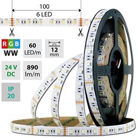ML-128.635.60.0 LED pásek SMD5050 RGB + WW, 60LED/m, 19,2W/m, 890lm/m, IP20, DC 24V, 12mm, 5m