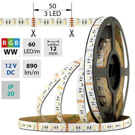 ML-123.635.60.0 LED pásek SMD5050 RGB + WW, 60LED/m, 19,2W/m, DC 12V, 890lm/m, IP20, 12mm, 5m