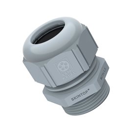 SKINTOP ST-M 20x1,5 RAL 7001 SGY