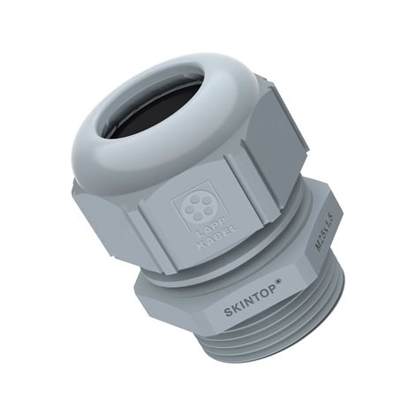 SKINTOP ST-M 20x1,5 RAL 7001 SGY