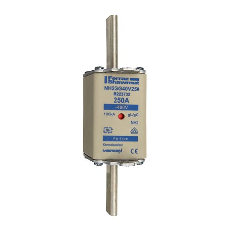 NH2GG40V250 pojistka nož. 250A 400V 