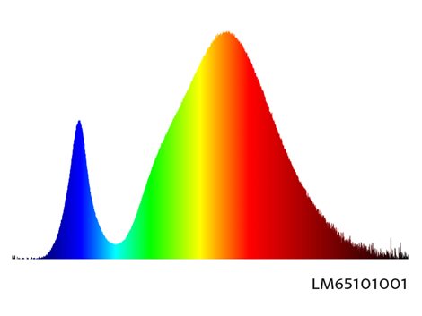LM65101001 LED Kapsule 120 12LED G4 teplá 2