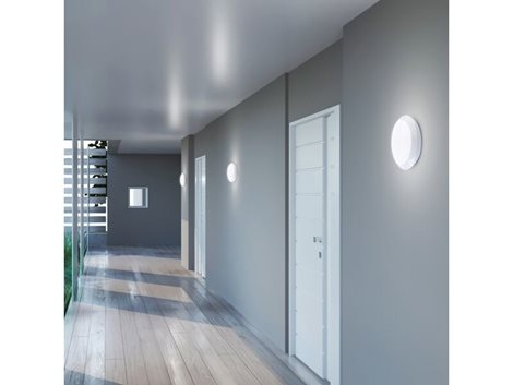 PN32300017 ZEUS LED S + EM3h 3