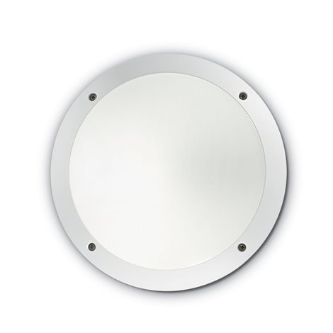 POLAR-1 AP1 venkovní přisazené svítidlo 1x E27 23W bez zdroje 30cm IP66, bílé 1
