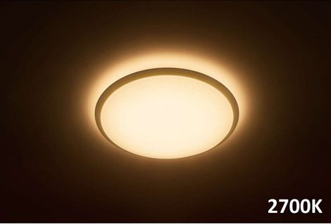 31821/31/P5 Wawel přisazené LED svítidlo 1x17W 1600lm 2700K/4000/6500K Scene Switch, bílé 2