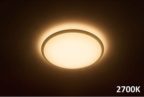 31822/31/P5 Wawel přisazené LED svítidlo 1x20W 2000lm 2700K/4000/6500K Scene Switch, bílé 2