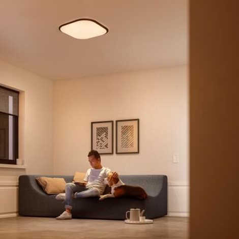 32810/31/P0 Cavanal přisazené LED svítidlo 1x18W 1500/750/150lm 2700K krokové stmívání IP20, bílé 10