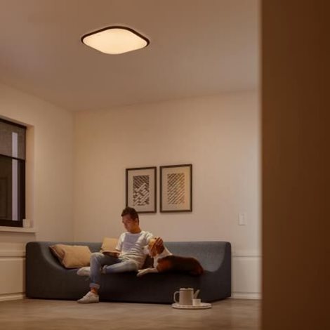 32810/31/P0 Cavanal přisazené LED svítidlo 1x18W 1500/750/150lm 2700K krokové stmívání IP20, bílé 11