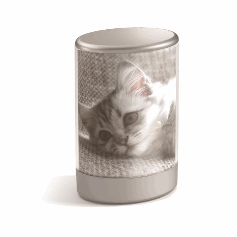 71923/48/P0 DEKORATIVNÍ LAMPA NA FOTKU LED 0,3W vč.baterií, šedá 1