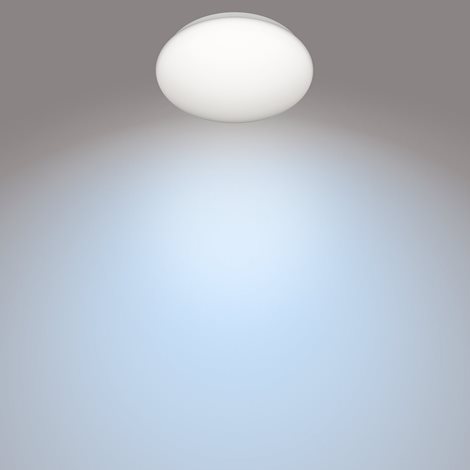 Moire CL200 stropní LED svítidlo 1x10W 1100lm 4000K IP20 25cm, bílé 2