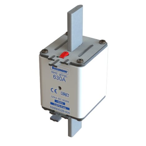 315NHG2B-400 Pojistka NH gG 400V 315A 2  dvojitý indikátor