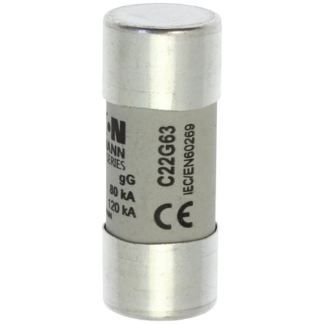 C22G63 Válcová pojistka GG 690V AC 63A C22(22,2x58mm)