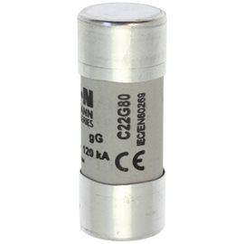 C22G80 Válcová pojistka GG 500V AC 80A C22(22,2x58mm)