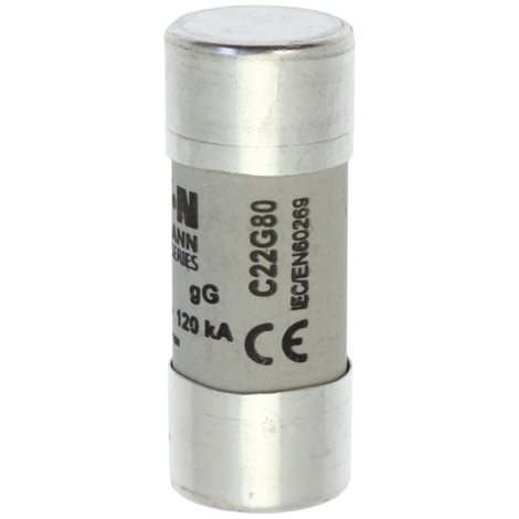 C22G80 Válcová pojistka GG 500V AC 80A C22(22,2x58mm)