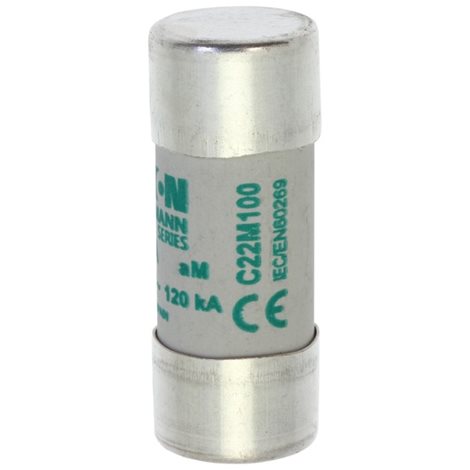 C22M100 Válcová pojistka AM 500V AC 100A C22(22,2x58mm)