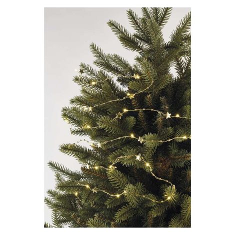 DCGW09 20LED GIRLAND GOLD 2AA WW 5