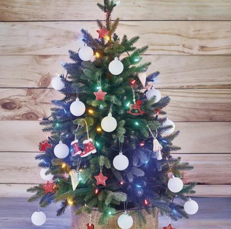 D4AM11 120 LED XMAS TRAD IP44 MC 3