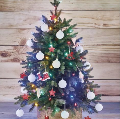 D4AM13 180 LED XMAS TRAD IP44 MC 4