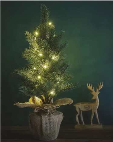 DCTW01 20LED XMAS TREE 3AA WW 2