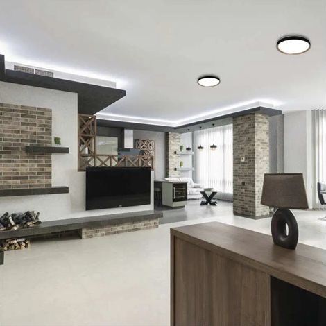 ZM5116 LED přisazené svítidlo ILVI, kruhové 30W, stmívání+CCT, černá+dřevo 10