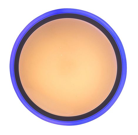 1510 LED Stmívatelné stropní svítidlo na dálkové ovládání RGB LED/32W/230V 6
