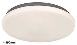 2284 LED Stropní svítidlo 1xLED/20W/230V