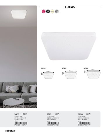 3072 LED Stropní svítidlo LED/12W/230V 4