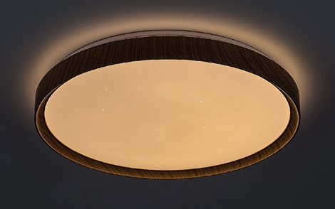 3500 LED Stmívatelné stropní svítidlo LED/50W/230V 3000-6500K buk + dálkové ovládání 2