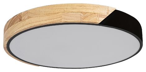 3528 LED Stropní svítidlo LED/24W/230V černá, Maple 2