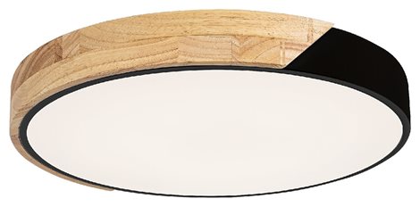 3528 LED Stropní svítidlo LED/24W/230V černá, Maple 4