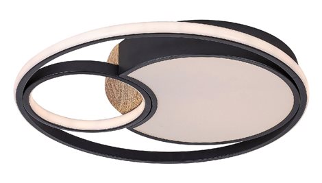 71044 LED Stmívatelné stropní svítidlo LEOLA LED/81W/230V 1