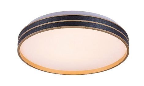 71141 Stropní svítidlo GANDOR LED 24W 1