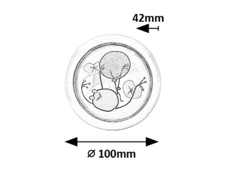 76071 Dětské noční světlo FROGGO LED 0,3W 2xAA 6000K IP20 6