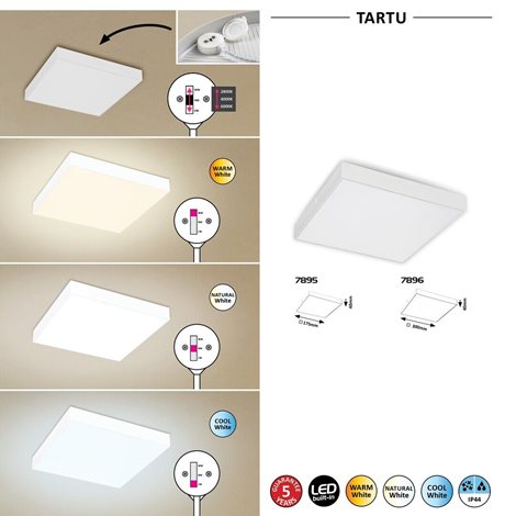 7895 LED venkovní stropní svítidlo TARTU LED 18W 5