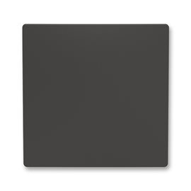 3559T-A00651 237 Kryt spínače jednoduchý