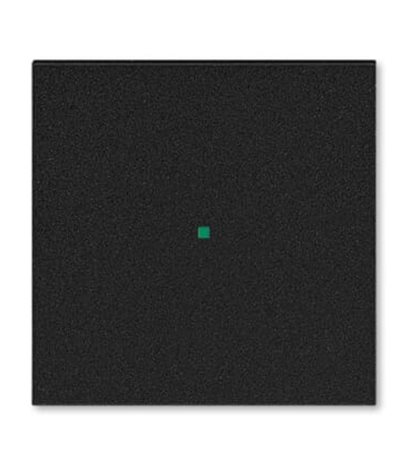 6220H-A01000 63 Kryt 1násobný, bez potisku; onyx