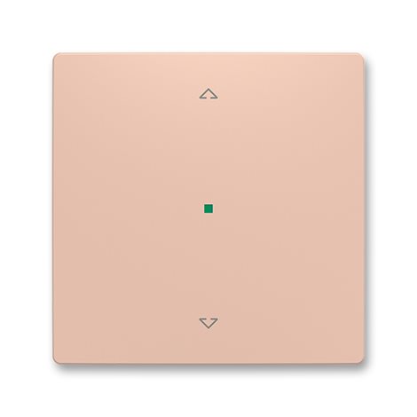 6220T-A01002 242 Kryt 1násobný, symbol 