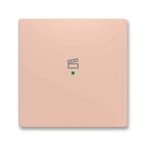 6220T-A01003 242 Kryt 1násobný, symbol 