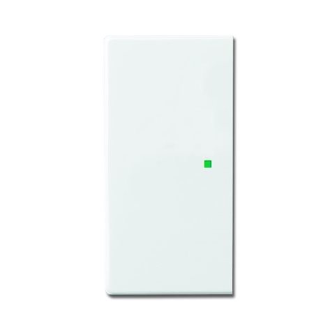 6220-0-0154 Kryt 2násobný levý/pravý, bez potisku (ABB-free@home®)