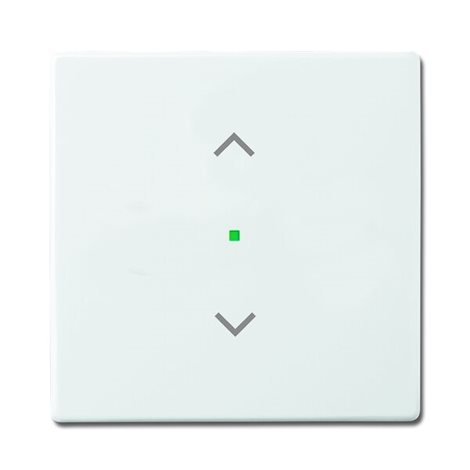 2CKA006220A0145 Kryt 1násobný, symbol 