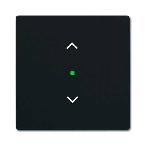 2CKA006220A0620 Kryt 1násobný, symbol 