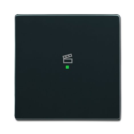 2CKA006220A0146 Kryt 1násobný, symbol 
