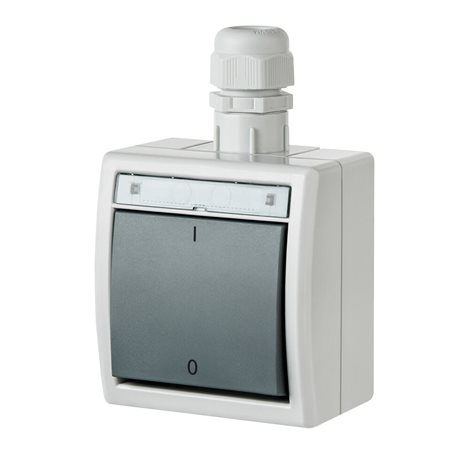 ATLAS IP65 Spínač dvoupólový č.2 s vývodkou M20, na povrch, šedý