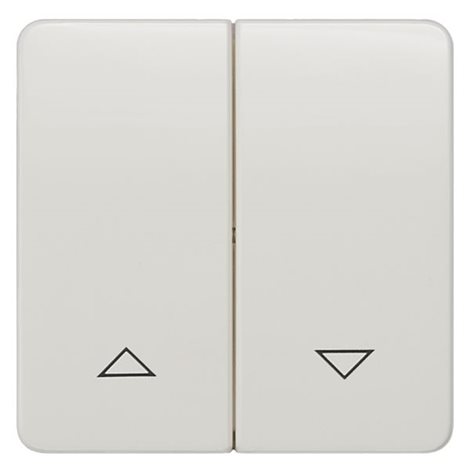5TG7814 DELTA PROFIL, TITANIUM WHITE ROCKER W.SHUTTER/BLIND SYMBOLS FOR SHUTTER PUSHB.,65X 1