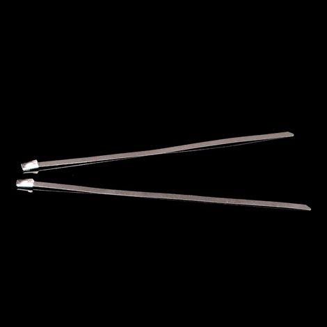 SPK 200X4.6_IX PÁSEK STAHOVACÍ NEREZ