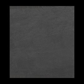 ECOSUN 300 CR Basalt black Panel 300 W ze slinuté keramiky