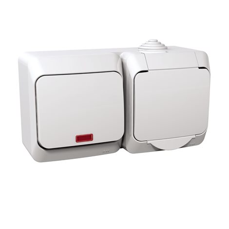 WDE000581 Zásuvka 230V 16A a spínač jednopólový s orient.kontrolkou ř.1So, bílá